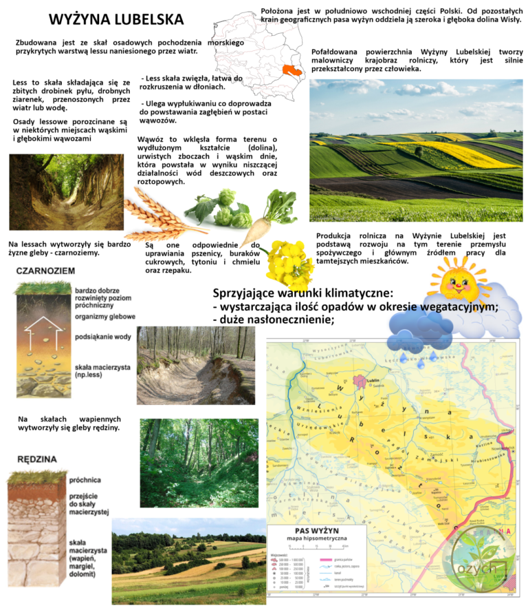 Wyżyna Krakowsko Częstochowska Klasa 5 Wyżyny Polskie – Notatki geografia
